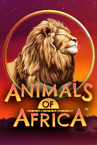 Animals of Africa ™ от Microgaming демо версия | VAVADA без регистрации