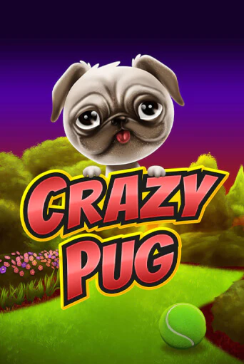 Crazy Pug от Swintt демо версия | VAVADA без регистрации