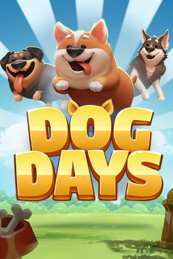 Dog Days от Microgaming демо версия | VAVADA без регистрации