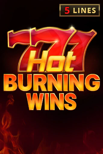 Hot Burning Wins от Playson демо версия | VAVADA без регистрации