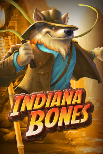 Indiana Bones от High 5 демо версия | VAVADA без регистрации