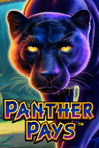 Panther Pays от Playtech демо версия | VAVADA без регистрации