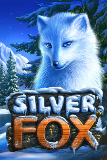 Silver Fox от Novomatic демо версия | VAVADA без регистрации