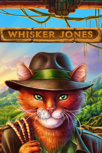 Whisker Jones от 1X2Gaming демо версия | VAVADA без регистрации